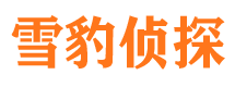 代县侦探公司